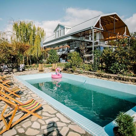 Hotel Chateau Dzveli Gavazi à Akhalsopeli  Extérieur photo